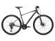 Dviratis hibridinis GIANT Roam 0 Disc-Charcoal-XL