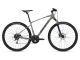Dviratis hibridinis GIANT Roam 3 Disc-metal-S