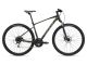 Dviratis hibridinis GIANT Roam 3 Disc