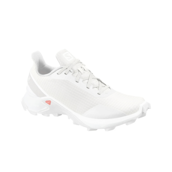 Batai turistiniai moterims Salomon Alphacross W grey/white  7.0